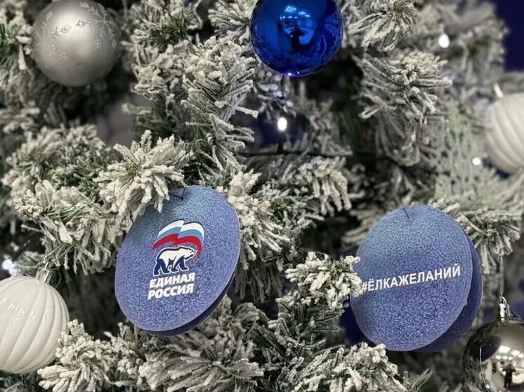 В Костроме дан старт акции «Елка желаний»