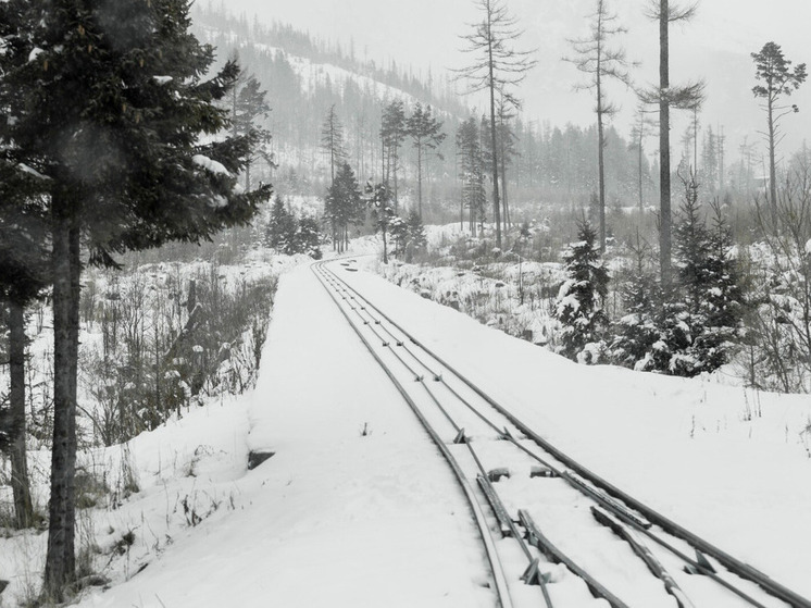 Экспорт угля из Новосибирской области вырос более чем на 16%
