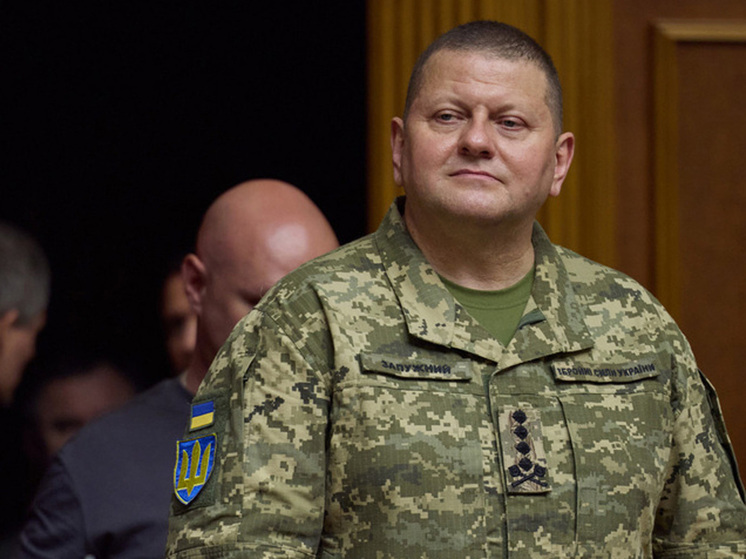 Залужный угрожает гражданской войной ради сохранения армии