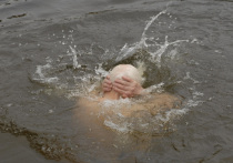 Тендеры на проверки состояния водоемов в канун крещенских купаний заключают администрации подмосковных городских округов