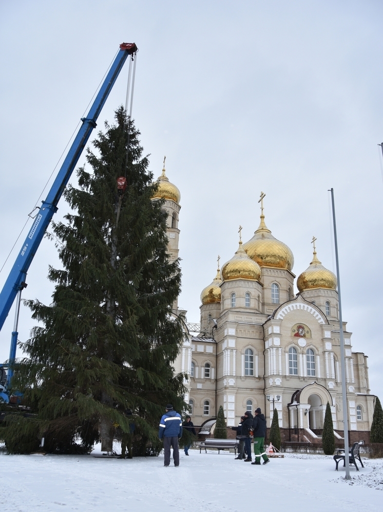 В Орловской области в «Вятском Посаде» установили новогоднюю ель