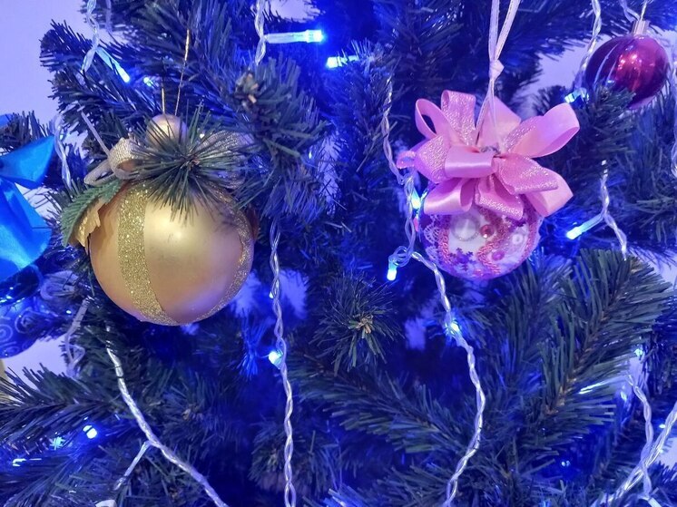 Прокуратура заставила вернуть деньги за новогоднюю ель саратовского предпринимателя