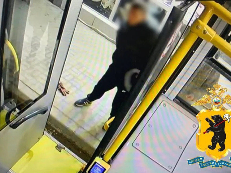 В Ярославле возбуждено уголовное дело из-за разбитой автобусной двери.