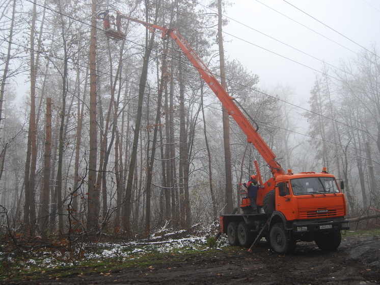 «Россети Северный Кавказ» расчистили от поросли более 32 га трасс линий электропередачи в Северной Осетии