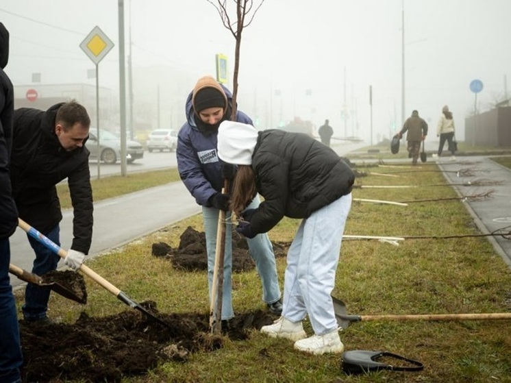 В Курске стартовала масштабная акция по озеленению Северо-западного микрорайона