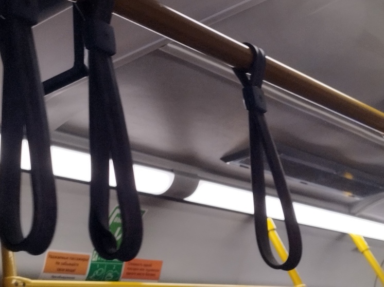 В Калининграде предложили сделать проезд для школьников бесплатным