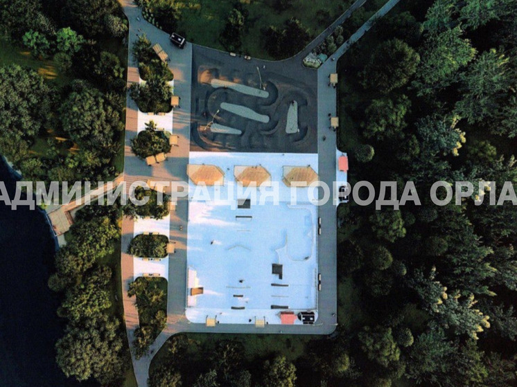 В Орле может появиться скейт-парк федерального уровня