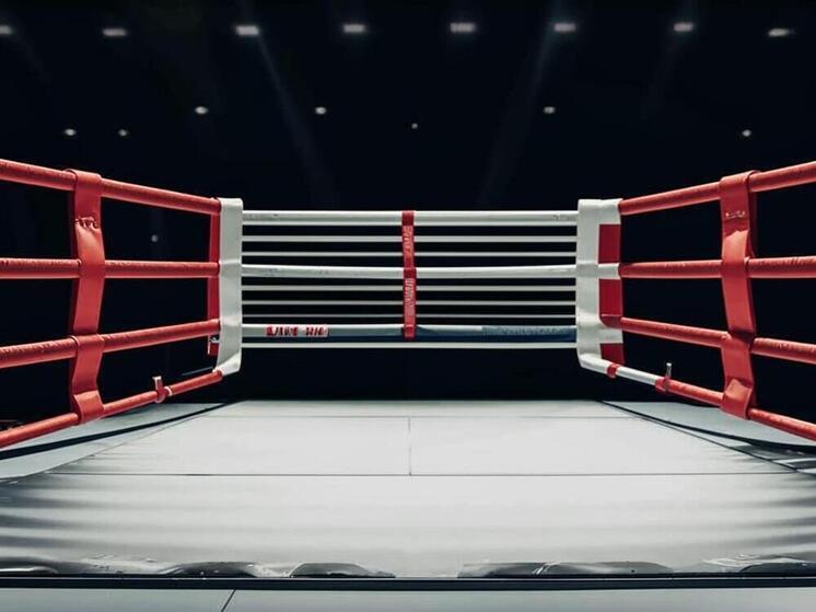 Трое дагестанских боксёров получили поздравление от Владимира Путина с победой на ЧМ