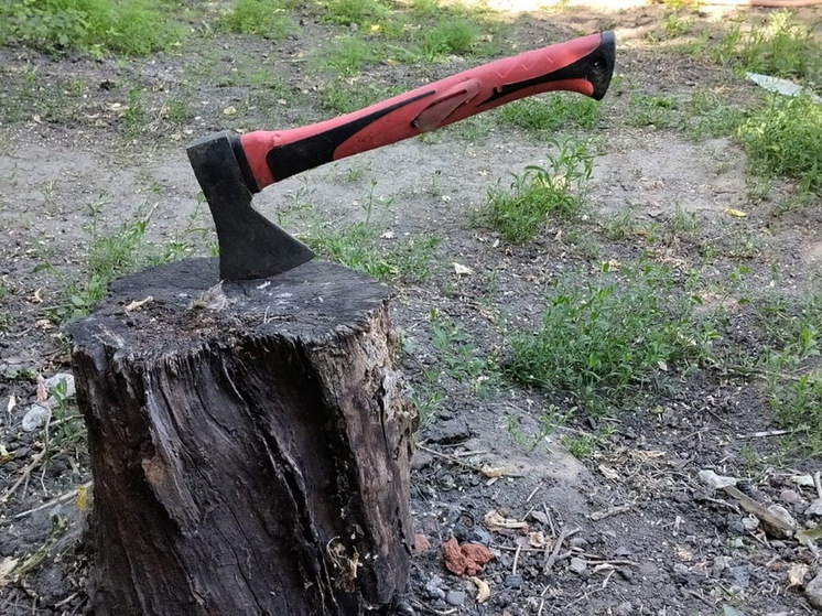 Житель Тюменской области расправился с соседом отказавшимся идти в магазин