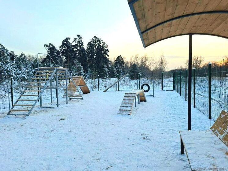 В Перми появились еще две современные площадки для выгула собак