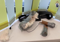 Нападение 15-летнего школьника с ножом на учительницу в Петербурге, вчера — несколько раненых учеников и охранник и убийство, совершенное таким же 15-летним ублюдком в школе в Одинцовском округе, — звенья одной цепи