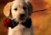 Дни рождения 18 декабря