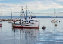 Федеральное агентство по рыболовству (Росрыболовство) завершило аукционы на право пользования шестью новыми рыболовными участками в Магаданской области