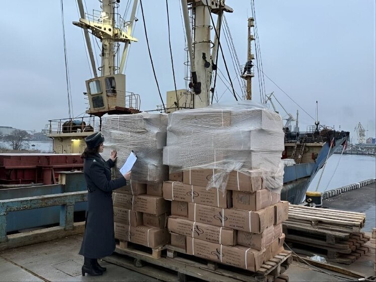 В Нигерию из Петербурга отправили два корабля скумбрии