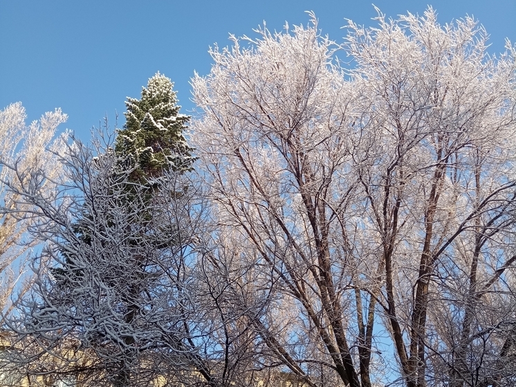 Сила магнитной бури 18 декабря составит 4 балла: удачная пора для любых начинаний