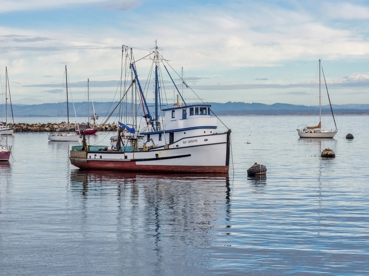 Федеральное агентство по рыболовству (Росрыболовство) завершило аукционы на право пользования шестью новыми рыболовными участками в Магаданской области