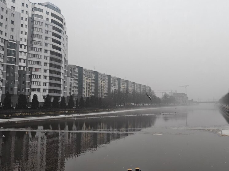 Калининградцам подсказали способы оставить квартиру себе после развода