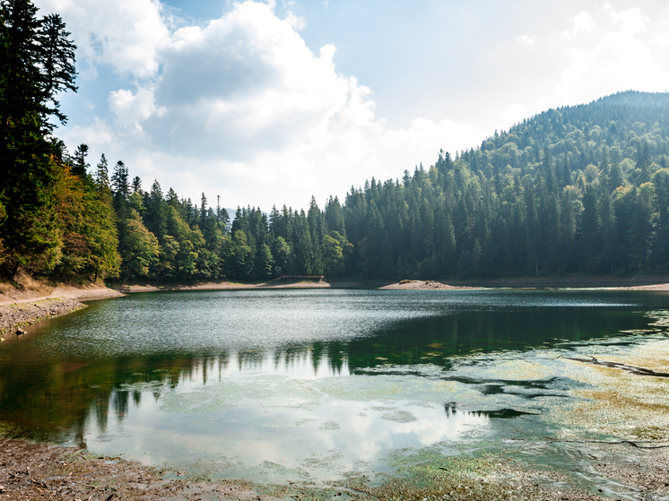 Подмосковные жители выбрали 39 водоёмов для расчистки в 2026 году по программе «100 прудов и озёр»
