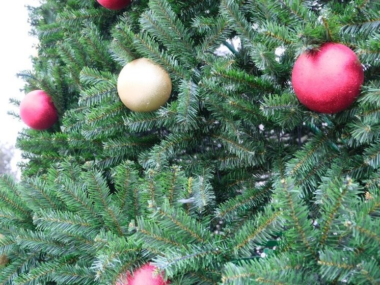 В Астрахани в пятницу зажгут огни на главной новогодней ёлке