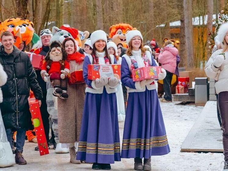 Торжественная церемония передачи первой партии детских писем главному зимнему волшебнику прошла в подмосковном парке «Раздолье» в Одинцовском округе