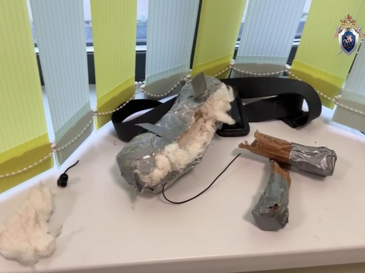 Человеческие отношения в школе убивает тотальная цифровизация