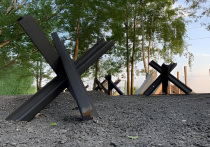 Странное исчезновение произошло в подмосковной Лобне