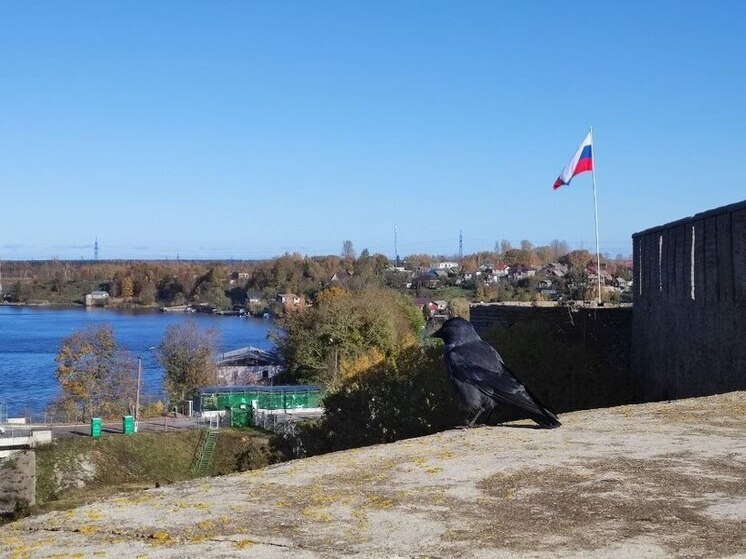 Жители Эстонии часами стоят в очереди на границе с Россией