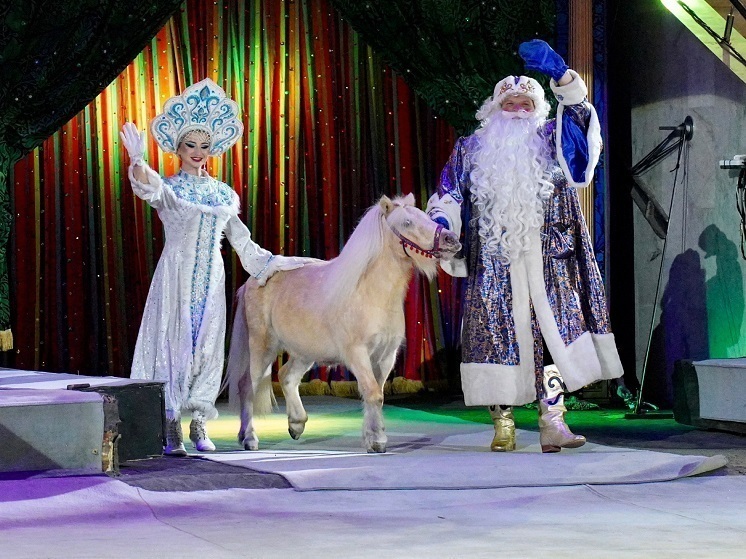 Артисты циркового шоу «Жар Птица» рассказали тульским журналистам о секретах профессии