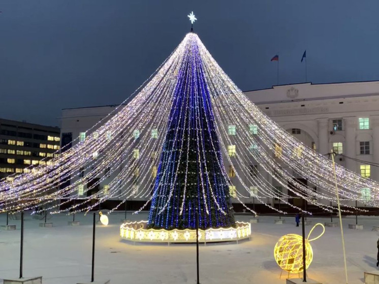 В Ульяновске главную новогоднюю елку будут зажигать каждый день