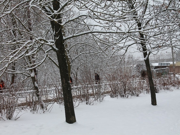 Туман и гололед парализуют Владимирскую область