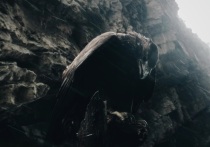 XXXI Фестиваль фильмов о правах человека «Сталкер» завершился в актовом зале ВГИКа