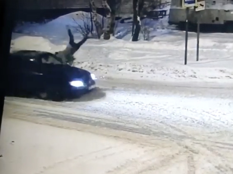 Не увидела или не успела? В Архангельске автомобиль сбил пешехода на «зебре»