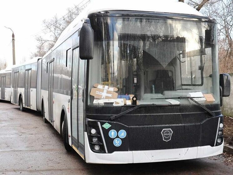 В Воронеж появились первые автобусы-гармошки