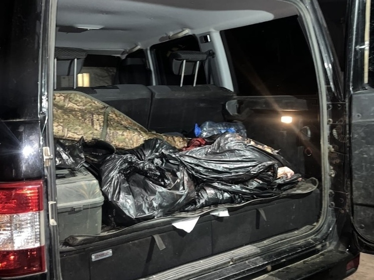 В Александровском районе &laquo;удачливые&raquo; охотники попались не на трофей, а на собственной жадности