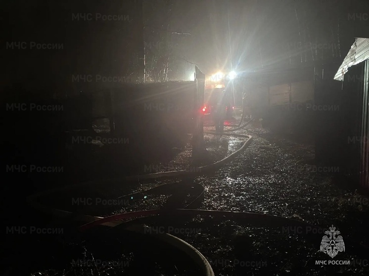 Хозяин частного дома Владимирской области насмерть задохнулся во время пожара