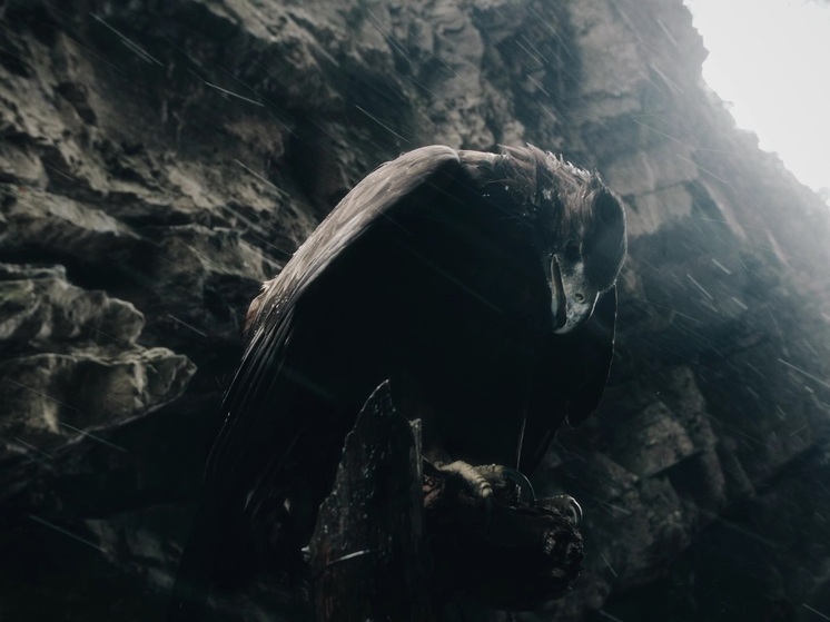 XXXI Фестиваль фильмов о правах человека «Сталкер» завершился в актовом зале ВГИКа