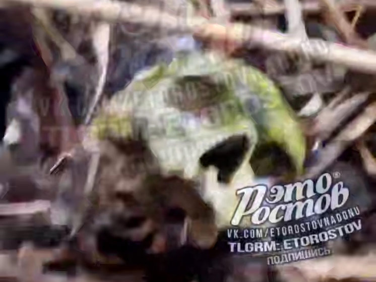 В Ростове нашли останки человека на берегу Северного водохранилища