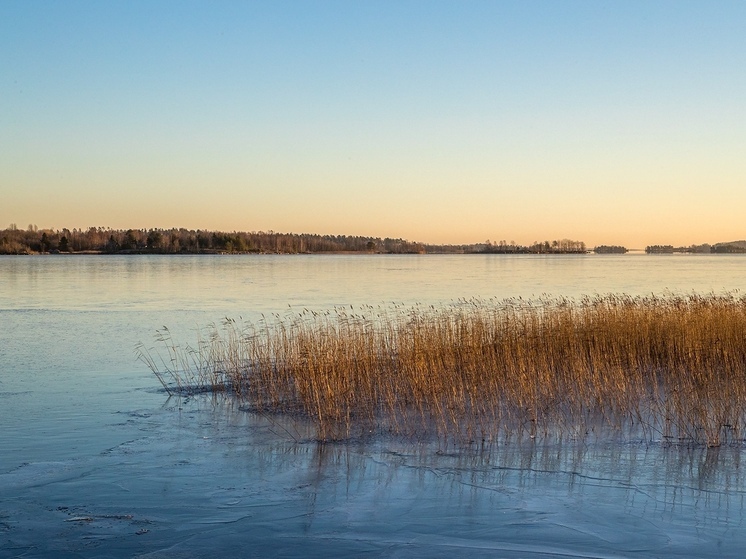 Житель Карелии заплатит 300 тысяч рублей за незаконный лов рыбы