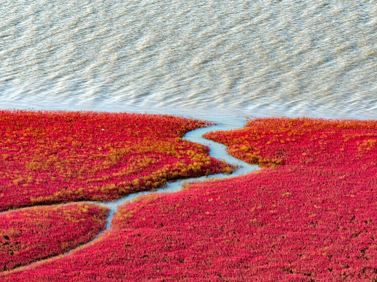Ливни превратили Красный пляж в багровую полосу