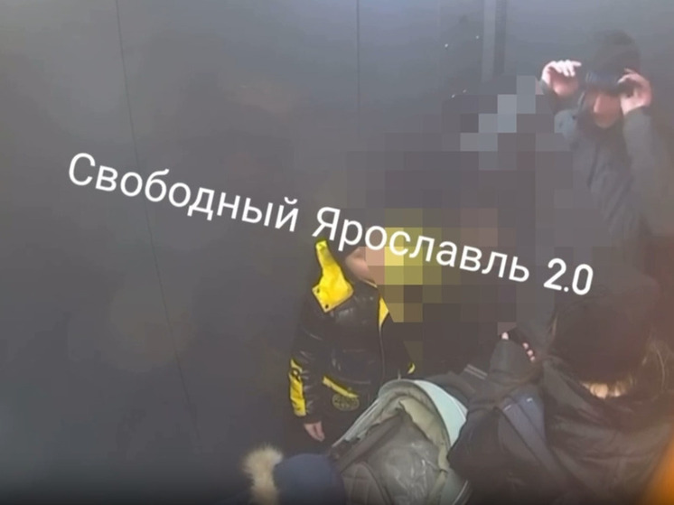 В Ярославле жители засняли «самокатных» воров