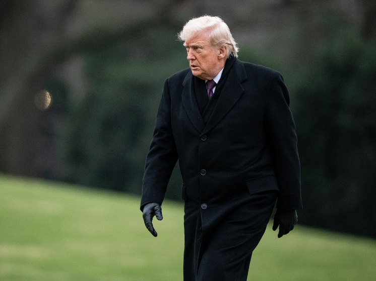 WSJ: Трамп обсудил с адвокатом Дершовицем возможность баллотироваться на третий срок