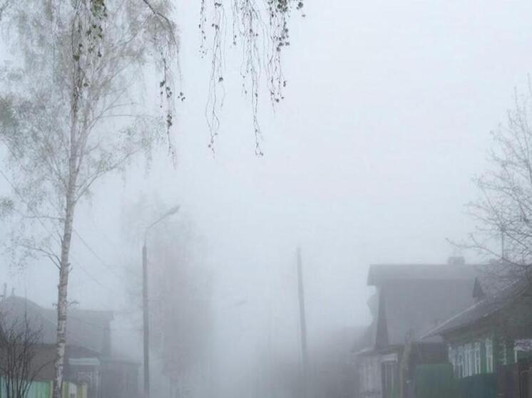 В Курской области 18 декабря ожидается тёплая погода, но с туманом и гололёдом