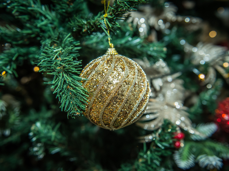 В Новосибирске стартует Губернаторская ёлка для восьми тысяч детей