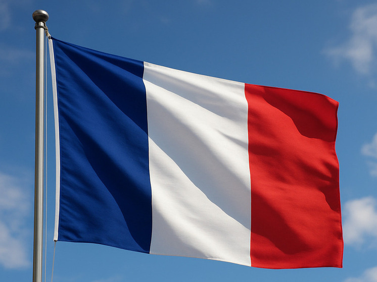 Во Франции прошли обыски у экс-генпрокурора Украины Пискуна, его задержали