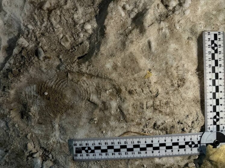 В Мегионе раскрыта кража из гаража: похищенное возвращено владельцу