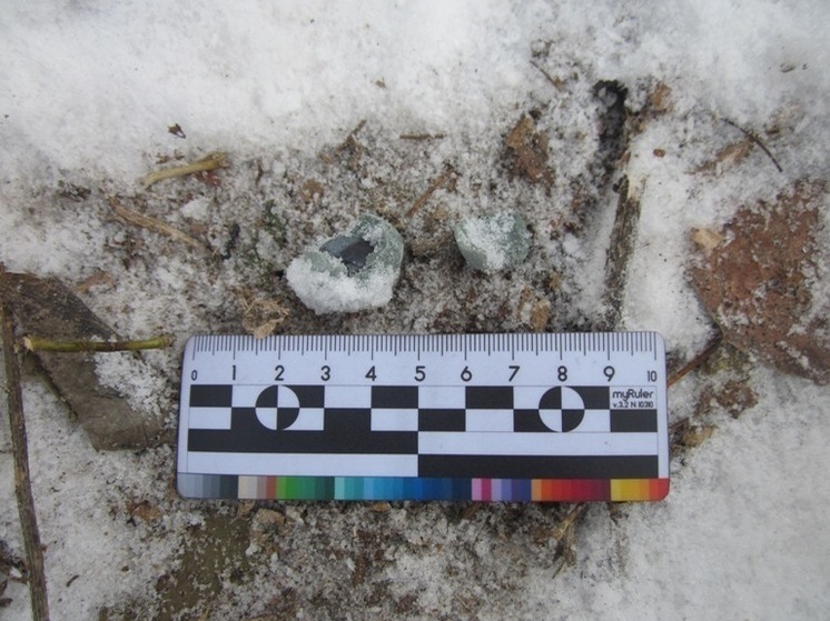 В Барнауле задержали закладчика с крупной партией растительного наркотика