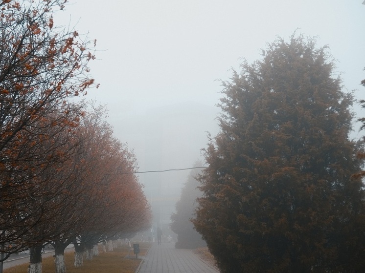 Желтый уровень опасности из-за тумана ввели в Волгоградской области