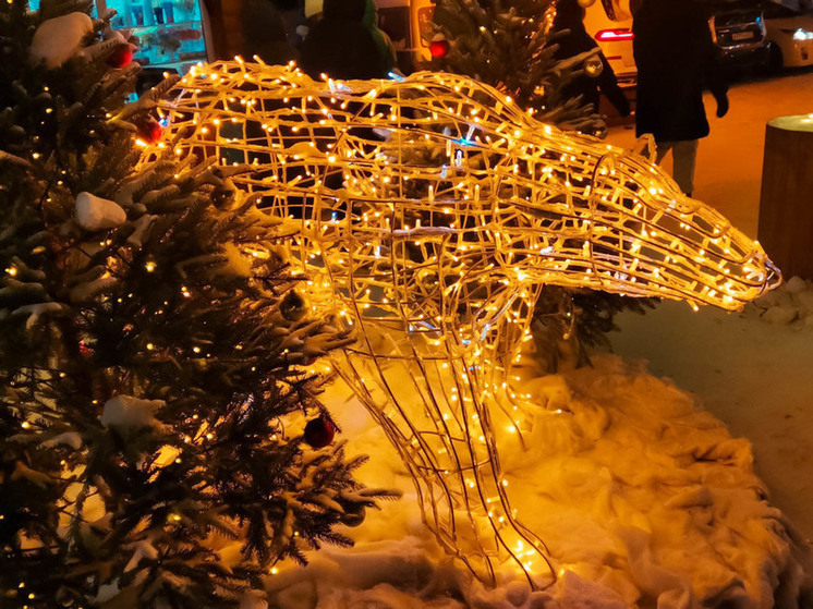 Полная программа праздника на площади Ленина
В первые январские дни главная площадь Хабаровска - площадь им