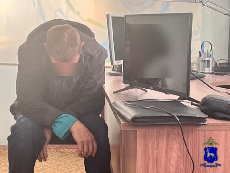 В Самарской области мужчина похитил у матери телевизор за 4 тысячи рублей