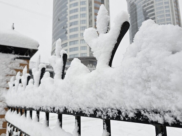 В Нарымском парке Новосибирска обнаружили нелегальные стоянки электроснегоходов